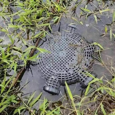 6- Hole Fishing Cage Fish Trap